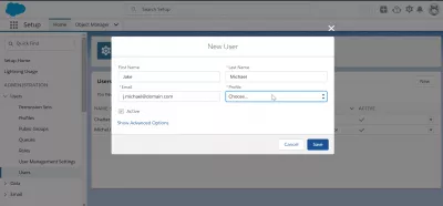 How to add users in SalesForce Lightning? : New user first screen