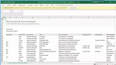 Kako izvesti kontakte iz SalesForce Lightning? : Kontakti izvezeni iz Salesforce Lightninga u Excelovu proračunsku tablicu